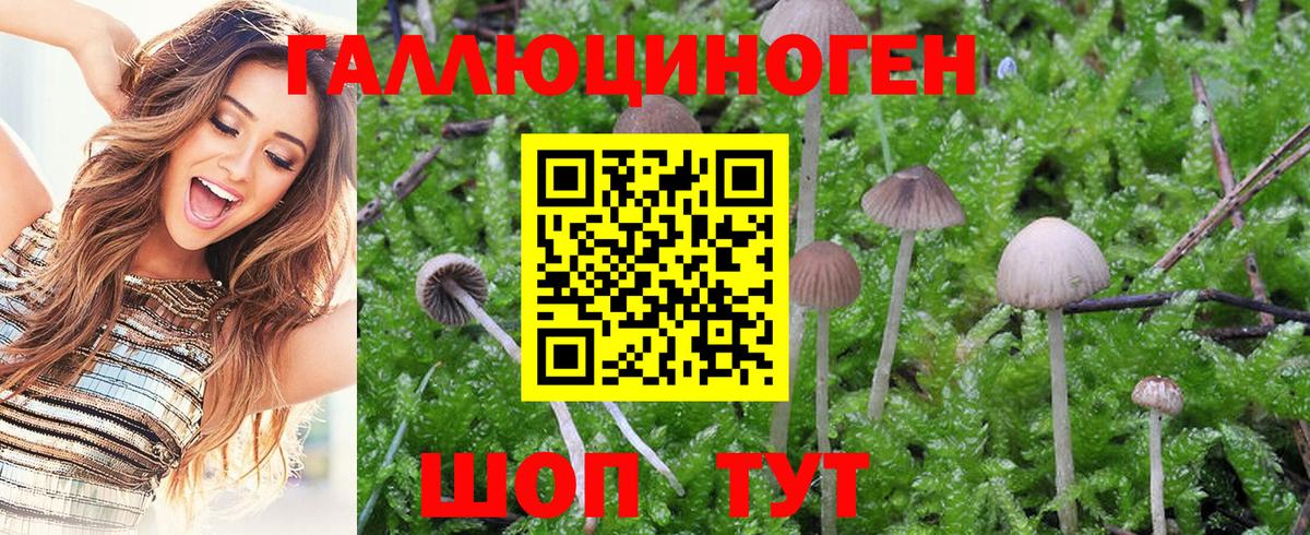 Галлюциногенные грибы MAGIC MUSHROOMS Комсомольск-на-Амуре
